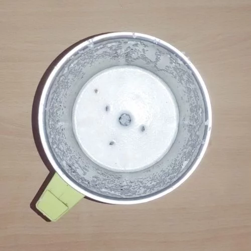 coconut milk recipe
