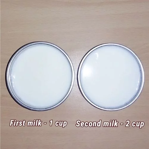 coconut milk recipe