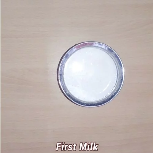 coconut milk recipe