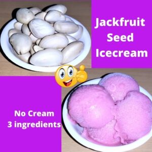 jackfruit seed icecream recipe