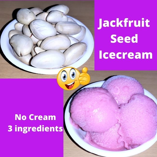 jackfruit seed icecream recipe