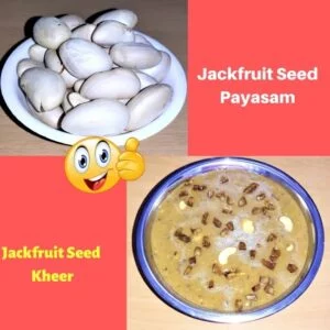 jackfruit seed payasam recipe